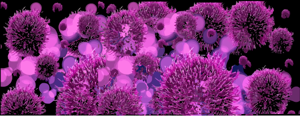 infeccion por hongos